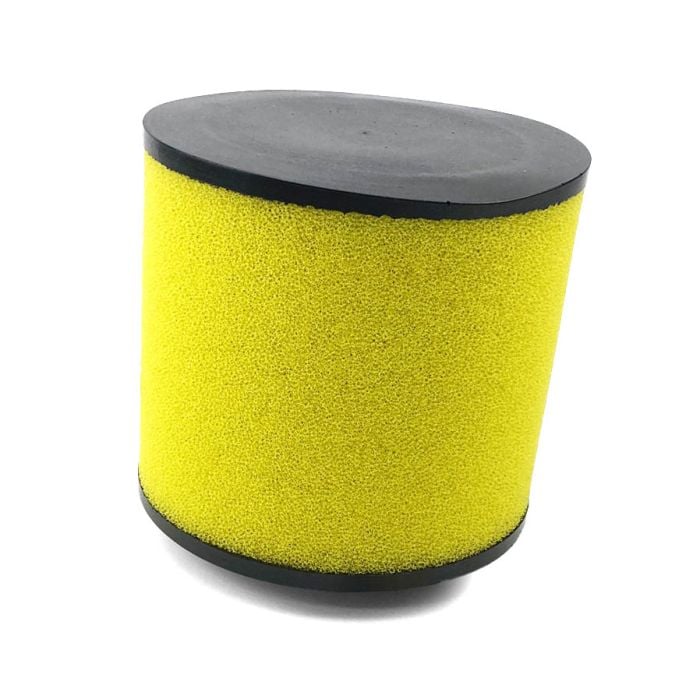 Honda 17254HM8000 Air Filter