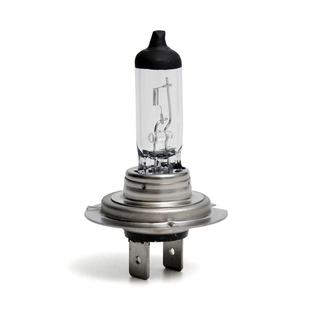 H7 Bulb